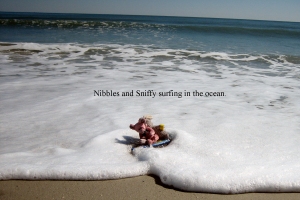 Sniffy in ocean